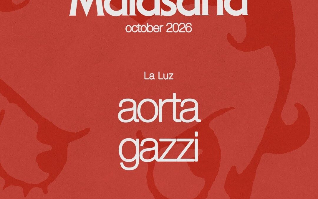La Luz con aorta y Gazzi
