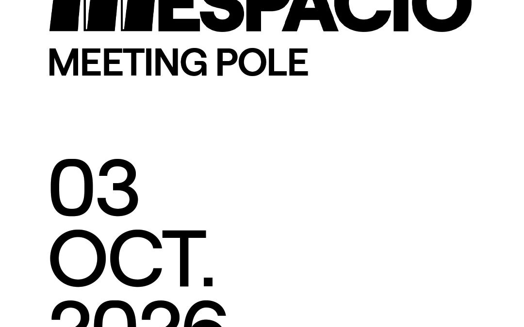 MEETING POLE / POLE DANCE