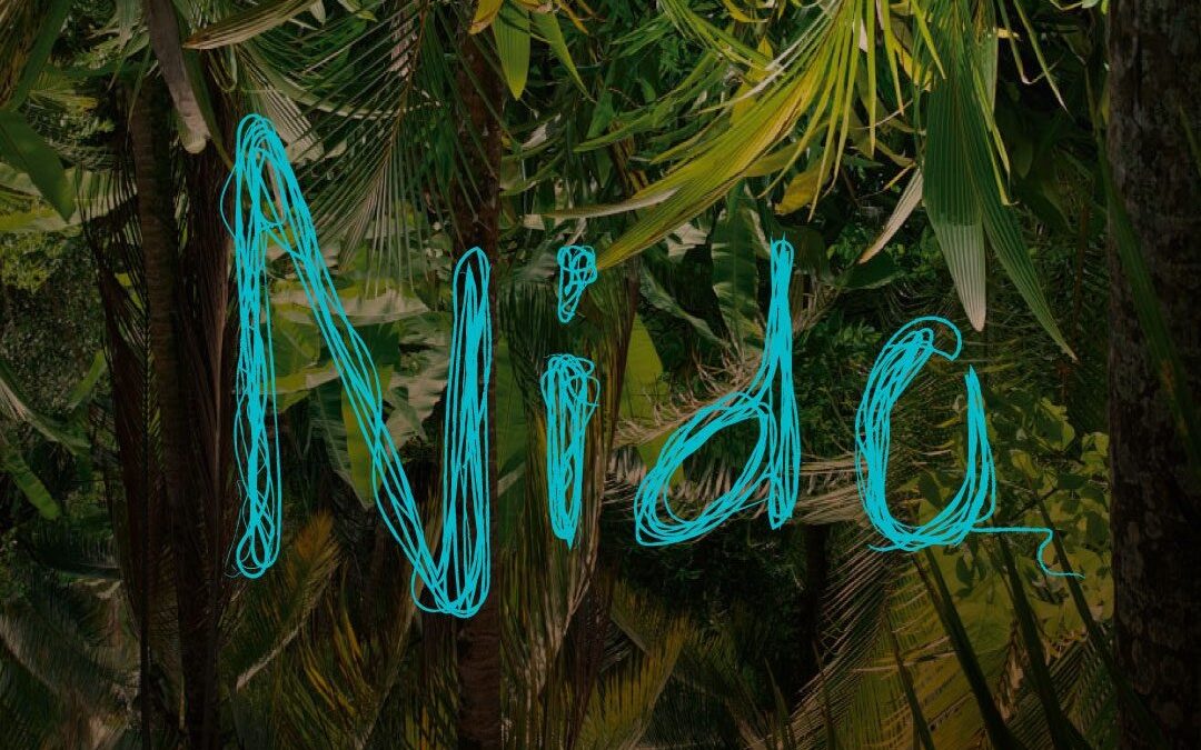 Nido